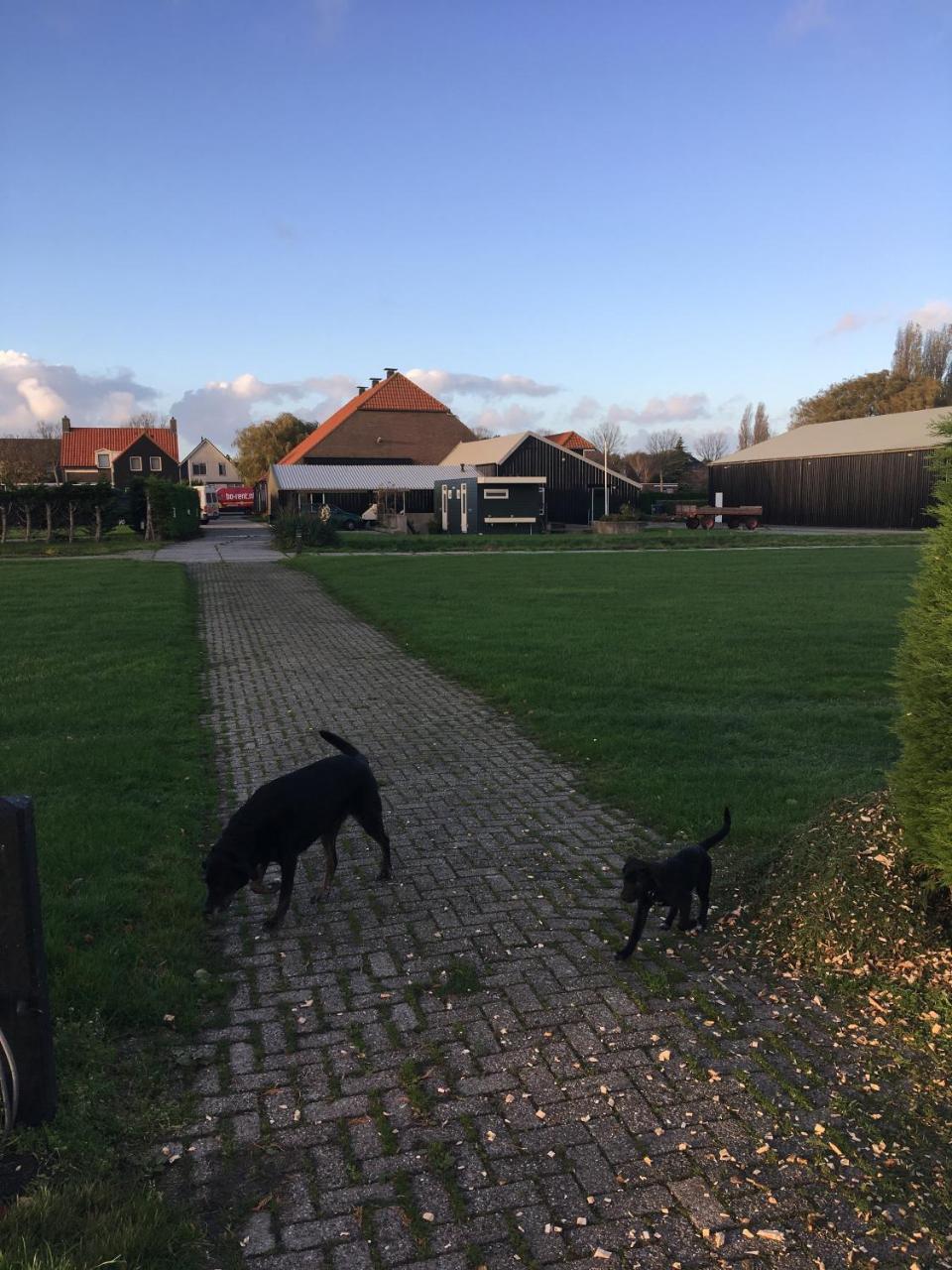 Lodge 61 Hotel Aan Het Water 梅代姆里克 外观 照片